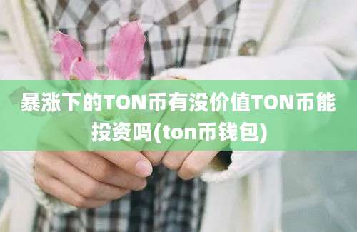 暴涨下的TON币有没价值TON币能投资吗(ton币钱包)