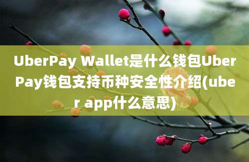 UberPay Wallet是什么钱包UberPay钱包支持币种安全性介绍(uber app什么意思)