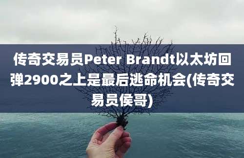 传奇交易员Peter Brandt以太坊回弹2900之上是最后逃命机会(传奇交易员侯哥)