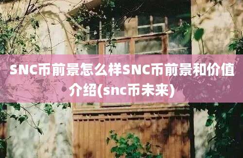 SNC币前景怎么样SNC币前景和价值介绍(snc币未来)