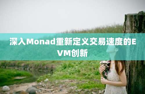 深入Monad重新定义交易速度的EVM创新