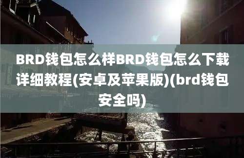 BRD钱包怎么样BRD钱包怎么下载详细教程(安卓及苹果版)(brd钱包安全吗)