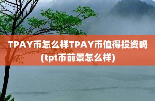 TPAY币怎么样TPAY币值得投资吗(tpt币前景怎么样)