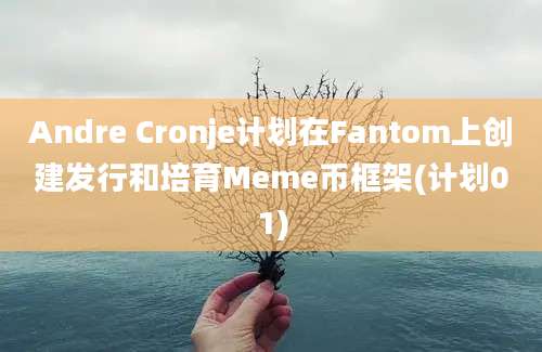 Andre Cronje计划在Fantom上创建发行和培育Meme币框架(计划01)