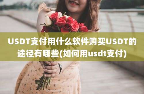 USDT支付用什么软件购买USDT的途径有哪些(如何用usdt支付)