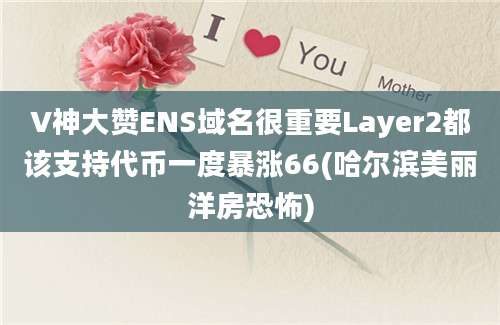 V神大赞ENS域名很重要Layer2都该支持代币一度暴涨66(哈尔滨美丽洋房恐怖)