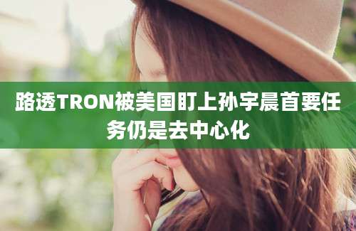 路透TRON被美国盯上孙宇晨首要任务仍是去中心化