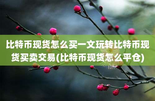 比特币现货怎么买一文玩转比特币现货买卖交易(比特币现货怎么平仓)