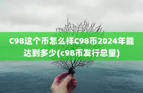 C98这个币怎么样C98币2024年能达到多少(c98币发行总量)