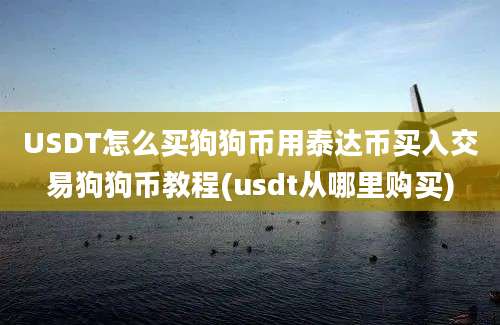 USDT怎么买狗狗币用泰达币买入交易狗狗币教程(usdt从哪里购买)