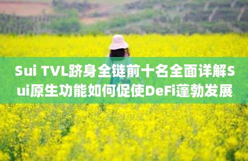 Sui TVL跻身全链前十名全面详解Sui原生功能如何促使DeFi蓬勃发展