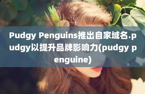 Pudgy Penguins推出自家域名.pudgy以提升品牌影响力(pudgy penguine)