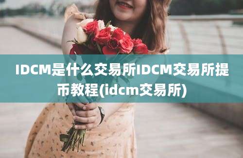 IDCM是什么交易所IDCM交易所提币教程(idcm交易所)