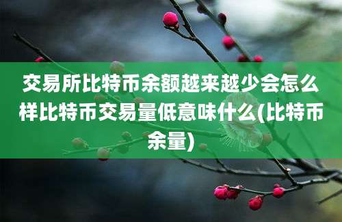 交易所比特币余额越来越少会怎么样比特币交易量低意味什么(比特币余量)