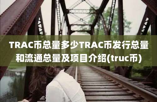 TRAC币总量多少TRAC币发行总量和流通总量及项目介绍(truc币)