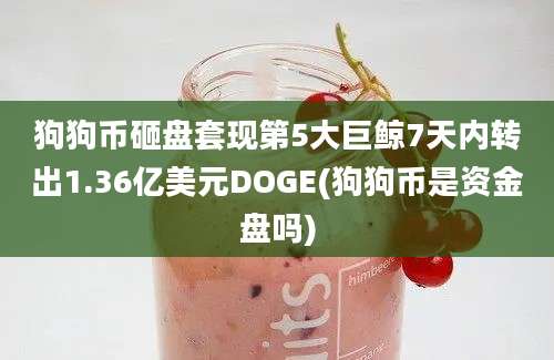 狗狗币砸盘套现第5大巨鲸7天内转出1.36亿美元DOGE(狗狗币是资金盘吗)