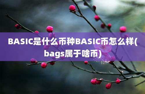 BASIC是什么币种BASIC币怎么样(bags属于啥币)