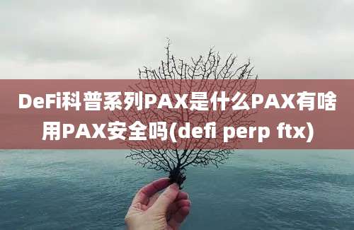 DeFi科普系列PAX是什么PAX有啥用PAX安全吗(defi perp ftx)