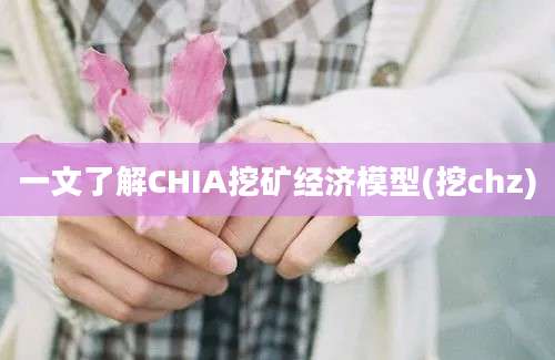 一文了解CHIA挖矿经济模型(挖chz)