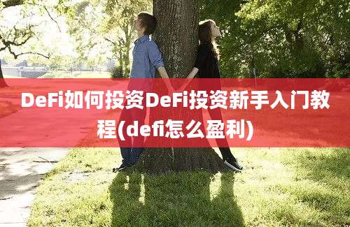 DeFi如何投资DeFi投资新手入门教程(defi怎么盈利)