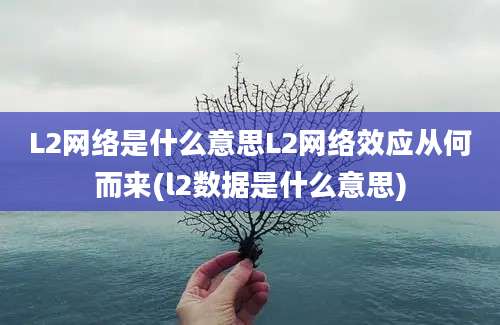 L2网络是什么意思L2网络效应从何而来(l2数据是什么意思)