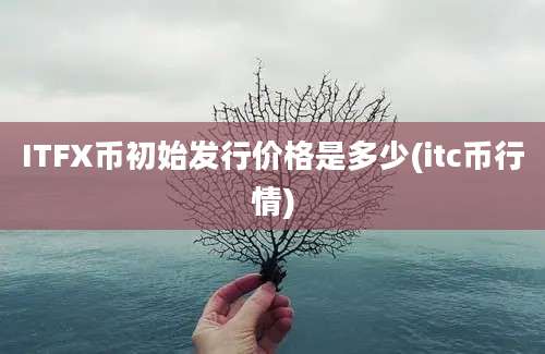 ITFX币初始发行价格是多少(itc币行情)