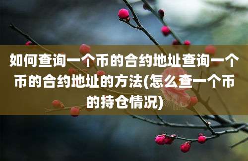 如何查询一个币的合约地址查询一个币的合约地址的方法(怎么查一个币的持仓情况)