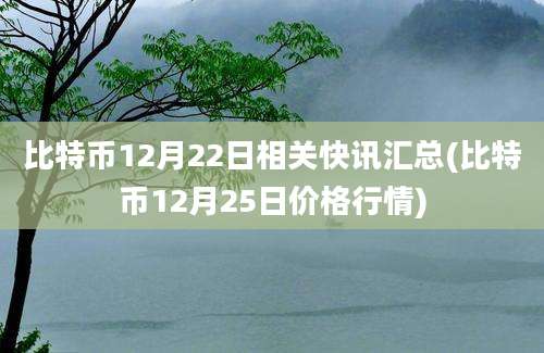 比特币12月22日相关快讯汇总(比特币12月25日价格行情)