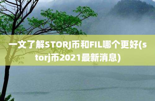 一文了解STORJ币和FIL哪个更好(storj币2021最新消息)