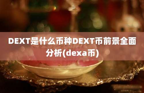 DEXT是什么币种DEXT币前景全面分析(dexa币)