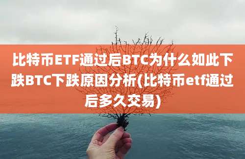 比特币ETF通过后BTC为什么如此下跌BTC下跌原因分析(比特币etf通过后多久交易)