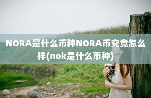 NORA是什么币种NORA币究竟怎么样(nok是什么币种)