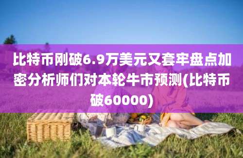 比特币刚破6.9万美元又套牢盘点加密分析师们对本轮牛市预测(比特币破60000)