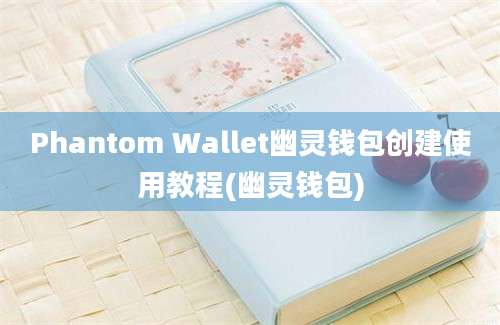 Phantom Wallet幽灵钱包创建使用教程(幽灵钱包)