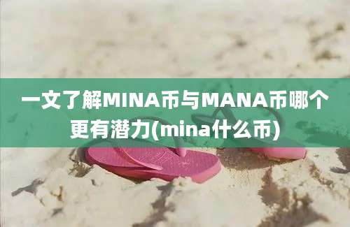 一文了解MINA币与MANA币哪个更有潜力(mina什么币)