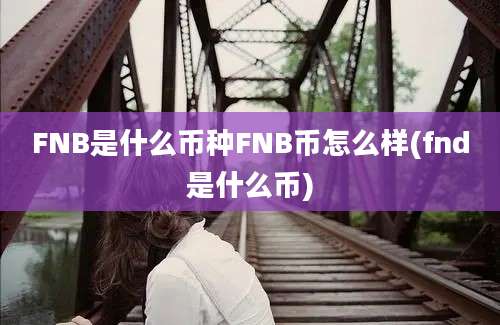 FNB是什么币种FNB币怎么样(fnd是什么币)