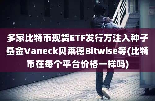 多家比特币现货ETF发行方注入种子基金Vaneck贝莱德Bitwise等(比特币在每个平台价格一样吗)