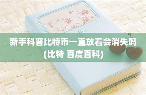 新手科普比特币一直放着会消失吗(比特 百度百科)