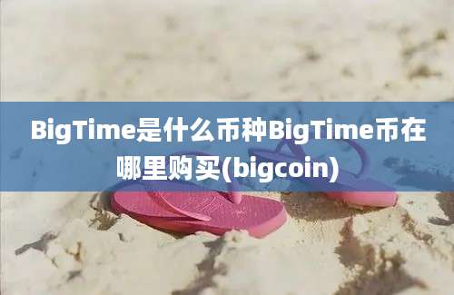 BigTime是什么币种BigTime币在哪里购买(bigcoin)