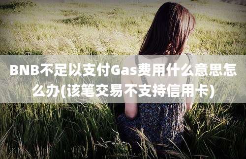 BNB不足以支付Gas费用什么意思怎么办(该笔交易不支持信用卡)