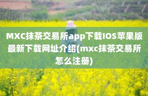 MXC抹茶交易所app下载IOS苹果版最新下载网址介绍(mxc抹茶交易所怎么注册)