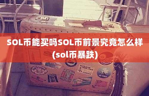 SOL币能买吗SOL币前景究竟怎么样(sol币暴跌)