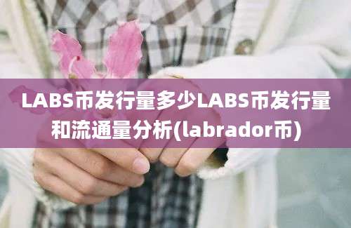 LABS币发行量多少LABS币发行量和流通量分析(labrador币)