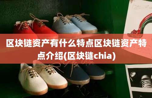 区块链资产有什么特点区块链资产特点介绍(区块链chia)