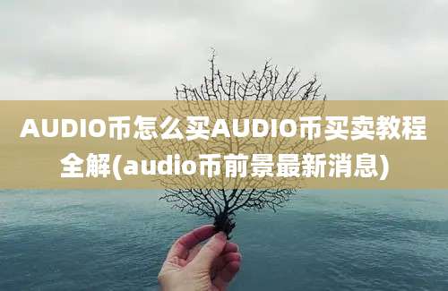 AUDIO币怎么买AUDIO币买卖教程全解(audio币前景最新消息)