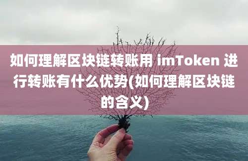 如何理解区块链转账用 imToken 进行转账有什么优势(如何理解区块链的含义)