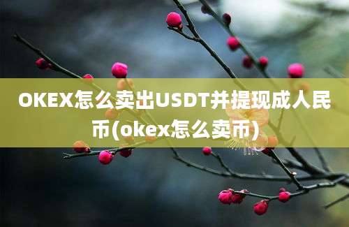 OKEX怎么卖出USDT并提现成人民币(okex怎么卖币)