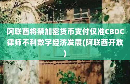 阿联酋将禁加密货币支付仅准CBDC律师不利数字经济发展(阿联酋开放)