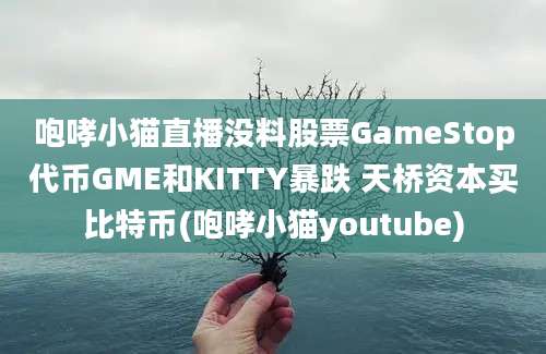 咆哮小猫直播没料股票GameStop代币GME和KITTY暴跌 天桥资本买比特币(咆哮小猫youtube)