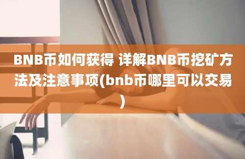 BNB币如何获得 详解BNB币挖矿方法及注意事项(bnb币哪里可以交易)